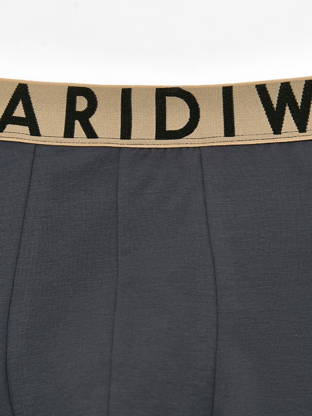 Трусы мужские DW PREMIUM MSH 3300 (бандероль),р.78,82, graphite-beige - 4