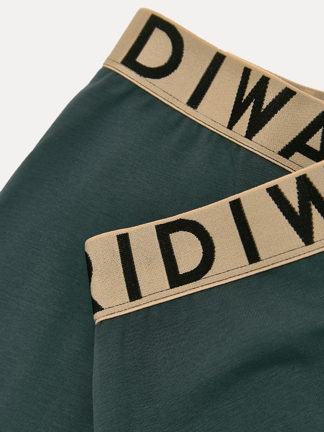 Трусы мужские DW PREMIUM MSH 3300 (бандероль),р.78,82, dark forest-beige - 3