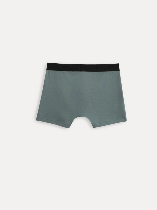 Трусы мужские DW PREMIUM MSH 3600 (бандероль),р.78,82, stormy green-black rib - 2