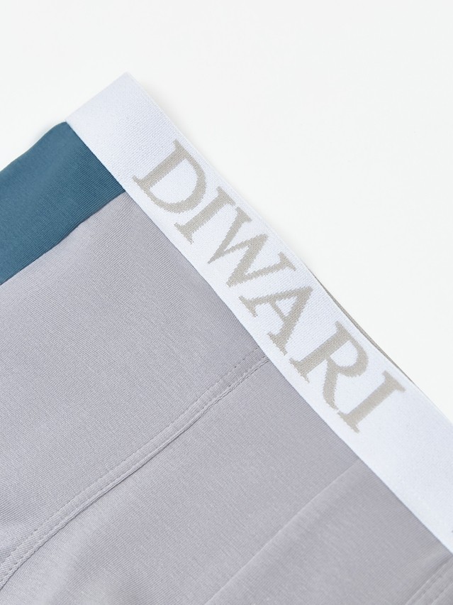 Трусы мужские DW BASIC MSH 2733 (пакет),р.78,82, light grey-grey blue - 3