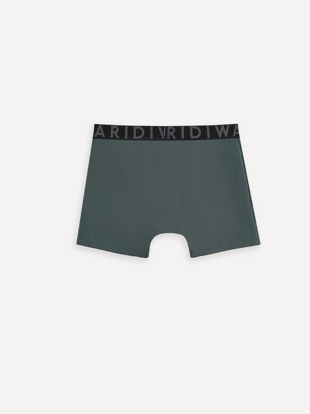 Трусы мужские DW PREMIUM MSH 3300 (бандероль),р.78,82, dark forest-graphite - 2