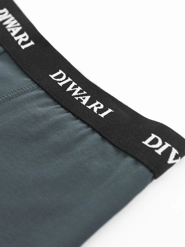 Трусы муж. DW BASIC MEN MSH 2147 (пакет),р.78,82, dark forest - 3