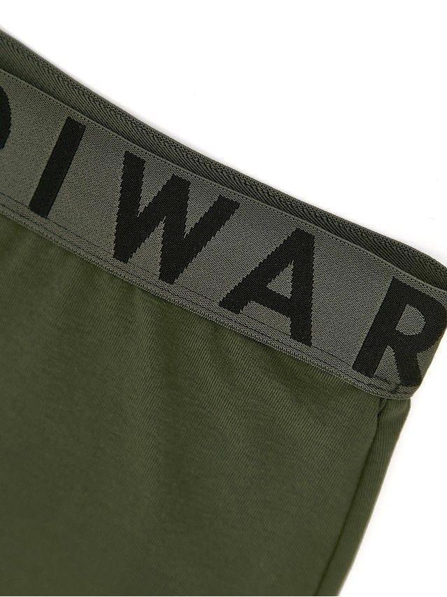 Трусы мужские DW PREMIUM MSH 3300 (бандероль),р.78,82, dark khaki-khaki - 4