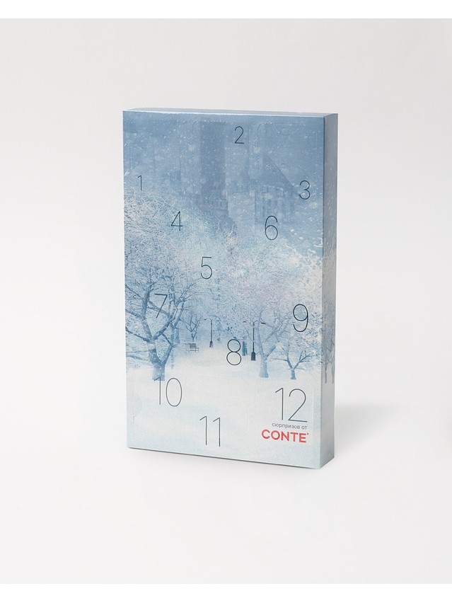 Набор ЧНИ носки женские CE NEW YEAR(коробочка) 21С-76СП(4 пары),24С-73СП(2 пары),р.23-25, 823 ассорти - 1