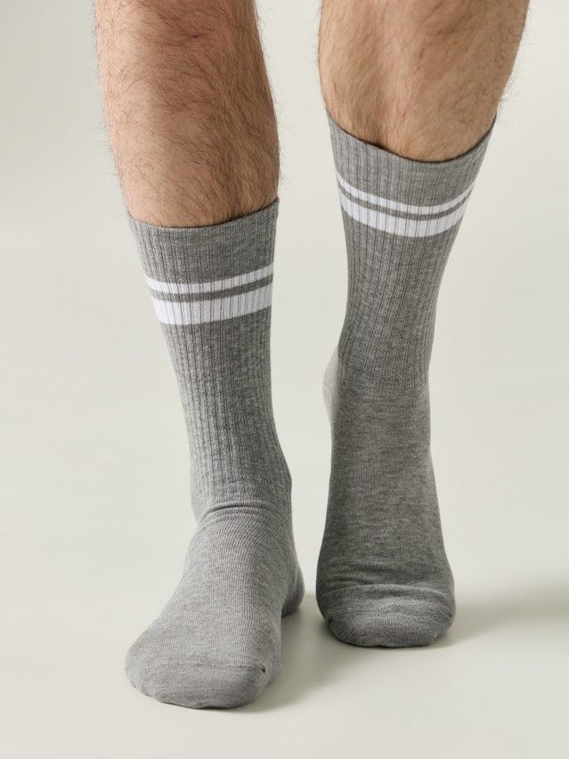 Носки мужские DW ACTIVE 20С-19СП, р.25, 231 серый - 1