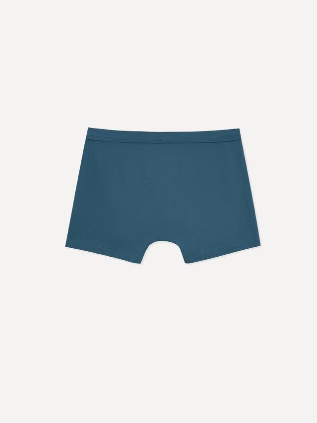 Трусы мужские DW PREMIUM MSH 1566 (бандероль),р.78,82, blue - 2