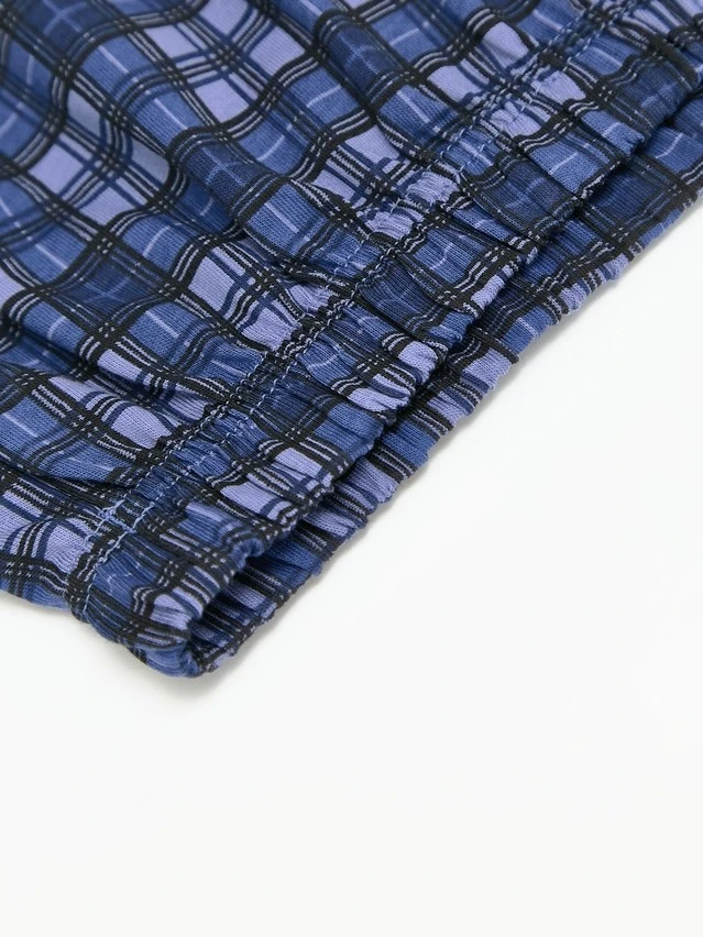 Трусы муж. DW BASIC MEN MBX 010 (пакет),р.78,82, blue check - 4