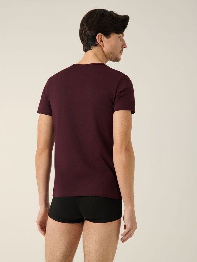 Фуфайка мужская DW BASIC MEN MF 2024 (пакет),р.170,176-100, dark bordo - 3