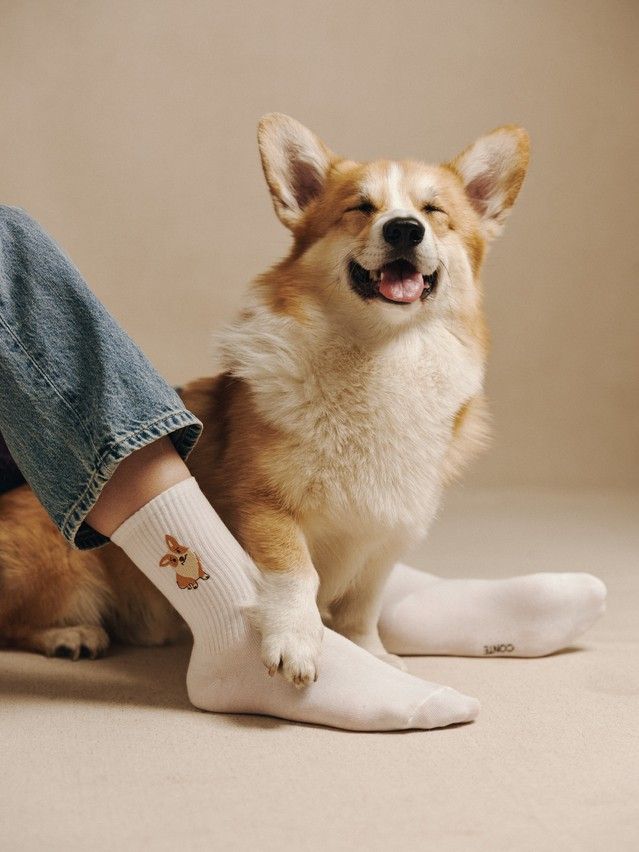 Носки женские хлопковые C FANTASY (с вышивкой) 24С-77/2СП, р.23-25, 1095 белый - 1