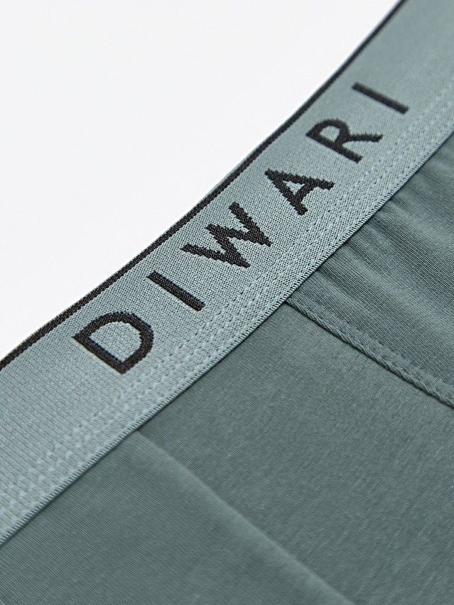 Трусы мужские DW PREMIUM MSH 1568 (бандероль),р.78,82, stormy green-silver blue - 4