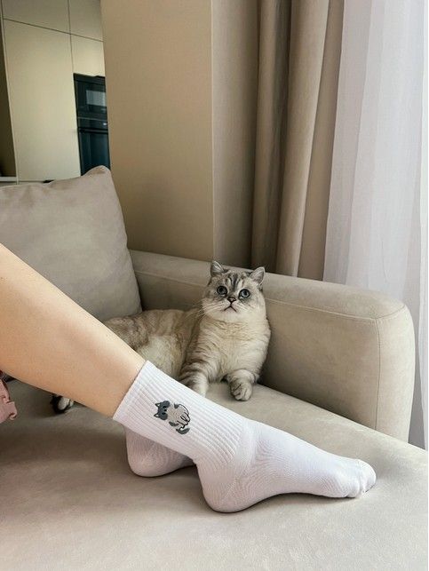 Хлопковые носки с вышивкой «Котик» из лимитированной коллекции BEST FRIENDS - купить в интернет-магазине Conte