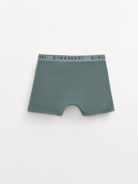 Хлопковые трусы-шорты PREMIUM MSH 1568 - купить в интернет-магазине Conte