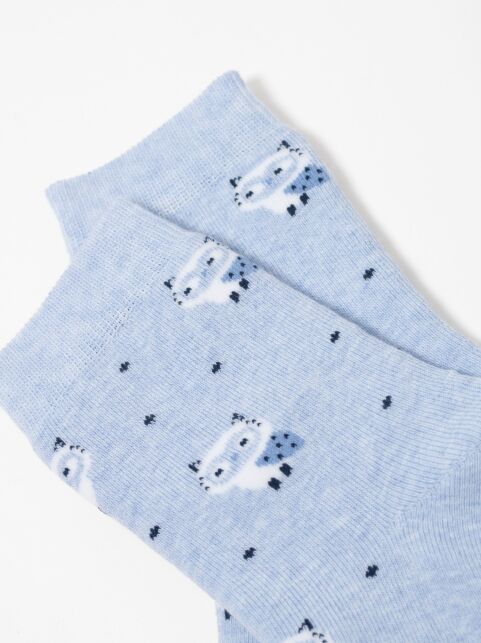 Махровые голубые носки SOF-TIKI с рисунком «котята» - купить в интернет-магазине Conte