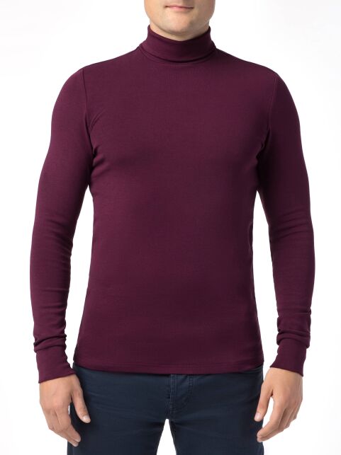 Водолазка из хлопка MD 816 - купить в интернет-магазине Conte