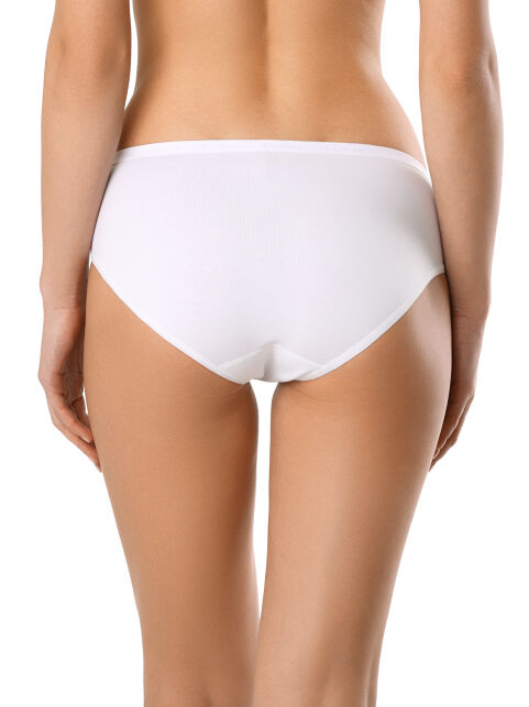COMFORT LB 572 - купить в интернет-магазине Conte