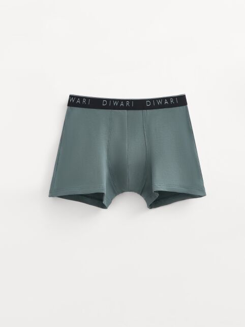 Хлопковые трусы-шорты PREMIUM MSH 1568 - купить в интернет-магазине Conte