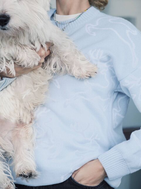 Рождественский свитер с оленями LDK 268 - купить в интернет-магазине Conte