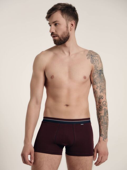 Хлопковые мужские трусы PREMIUM SHORTS 755 (в коробке) - купить в интернет-магазине Conte