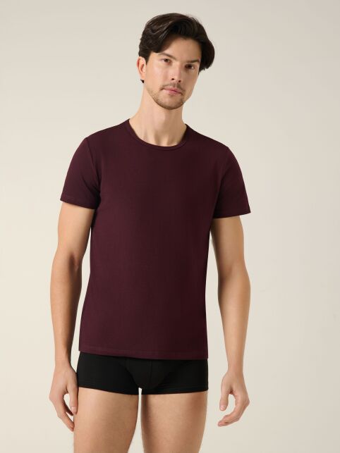 Трусы "шорты" из хлопка BASIC MEN MSH 2147 (бандероль) Трусы "шорты" из хлопка BASIC MEN MSH 2147 (бандероль) - купить в интернет-магазине Conte