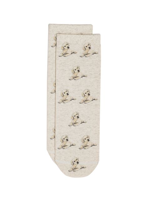 Носки со льном из лимитированной коллекции BEST FRIENDS «Лабрадор-ретривер» - купить в интернет-магазине Conte