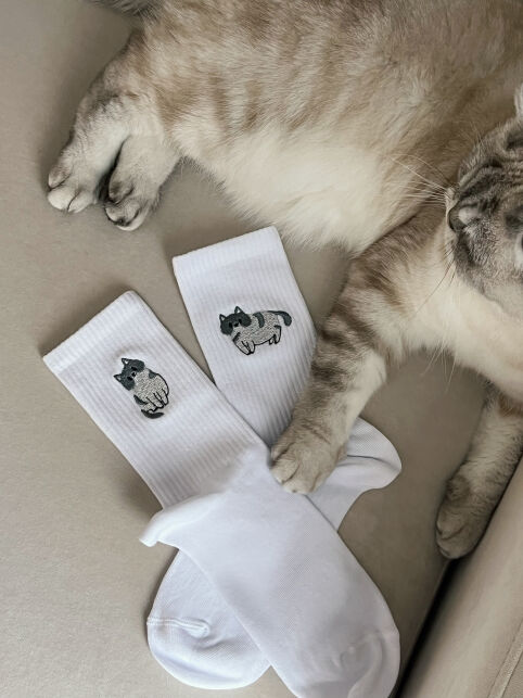 Хлопковые носки с вышивкой «Котик» из лимитированной коллекции BEST FRIENDS - купить в интернет-магазине Conte