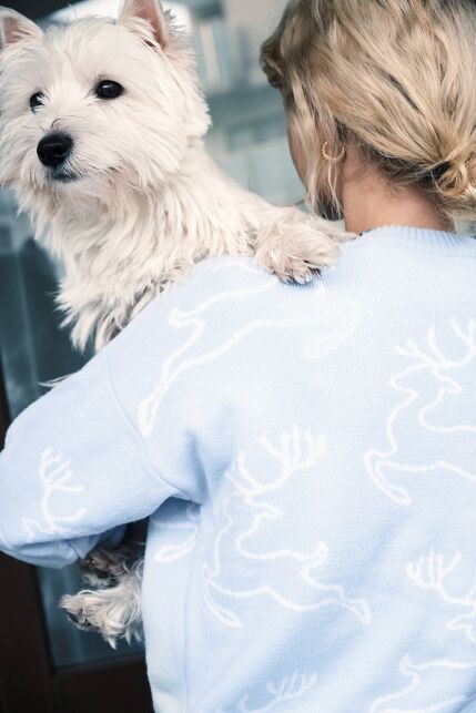 Рождественский свитер с оленями LDK 268 - купить в интернет-магазине Conte